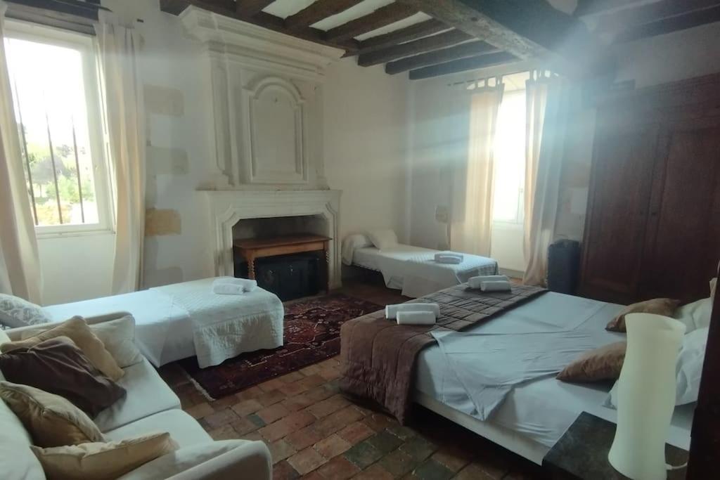 Domaine Du Prieure Saint Ellier Villa Charcé-Saint-Ellier-sur-Aubance Dış mekan fotoğraf