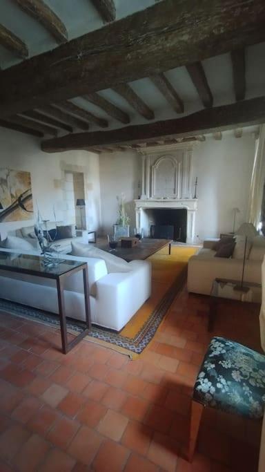 Domaine Du Prieure Saint Ellier Villa Charcé-Saint-Ellier-sur-Aubance Dış mekan fotoğraf